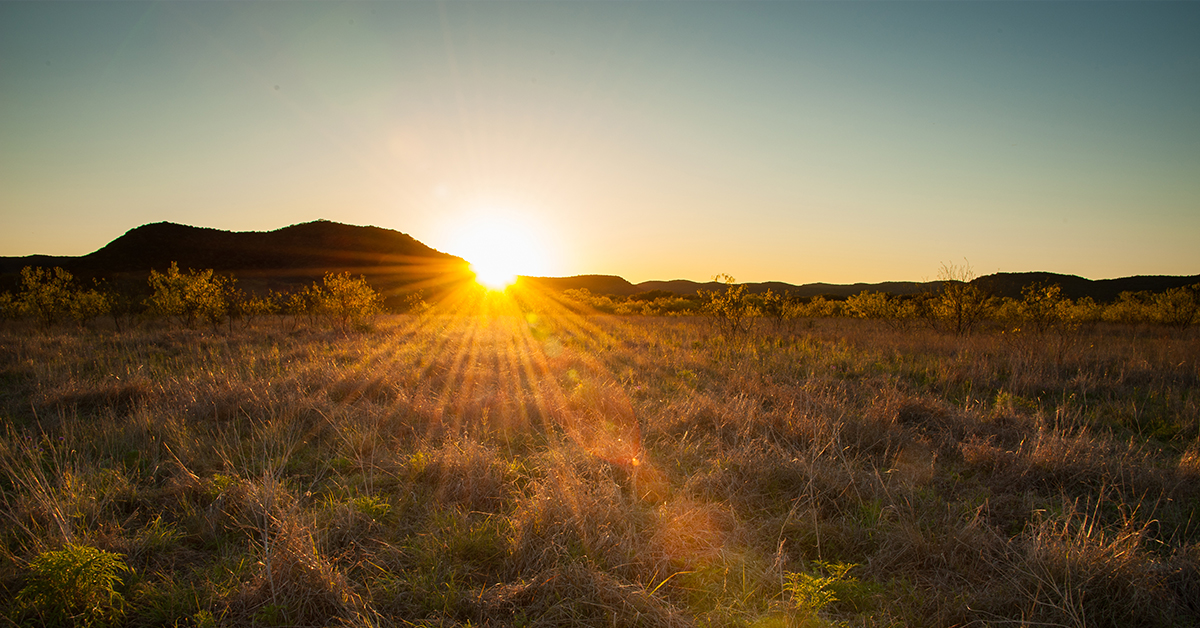Privia Health Announces Entry into West Texas Market