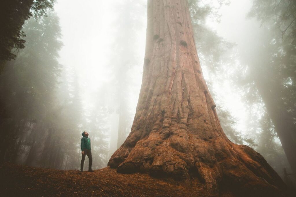 Privia Health Announces Entry into California Market